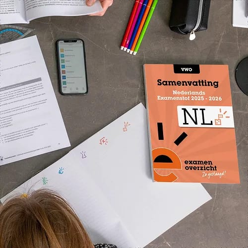 Samenvatting Nederlands vwo 3